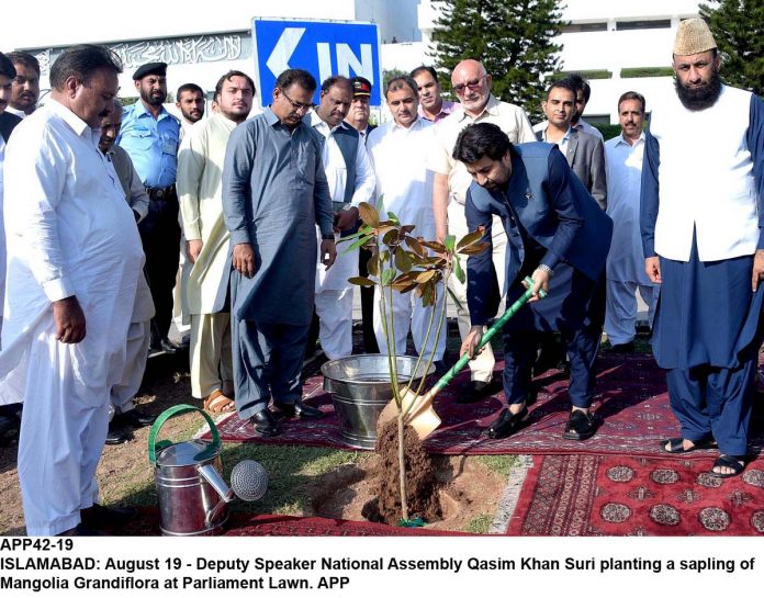 APP42-19Islamabad