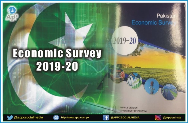survey-1