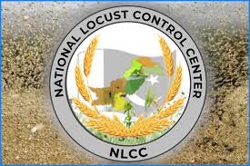 NLCC