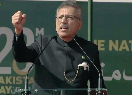 alvi-2-534x385