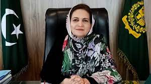 nosheen-hamid (1)