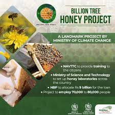 Honey-tree
