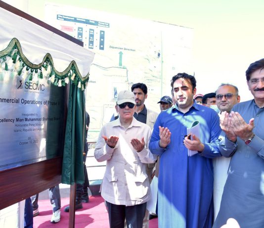 pm-engro-2-534x462